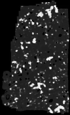PHerc0500P2 ink prediction — segment z_dbg_gen_00709_inp_hr