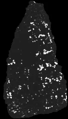 PHerc0500P2 ink prediction — segment 0
