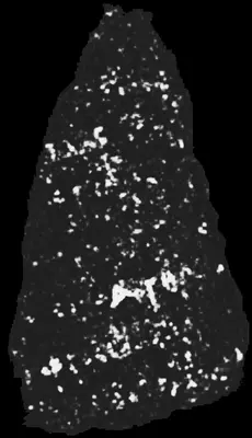 PHerc0500P2 ink prediction — segment 1