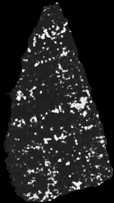 PHerc0500P2 ink prediction — segment 4