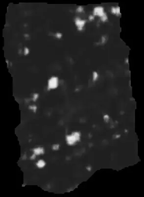 PHerc0500P2 ink prediction — segment 0500P2-wrap04_0919