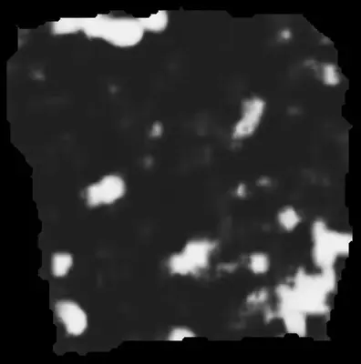 PHerc0500P2 ink prediction — segment 0500P2-wrap06_0919