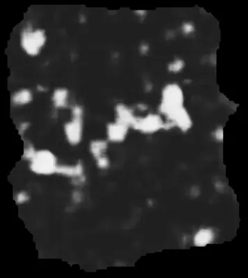 PHerc0500P2 ink prediction — segment 0500P2-wrap07_0919