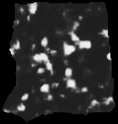 PHerc0500P2 ink prediction — segment 0500P2-wrap08_0919