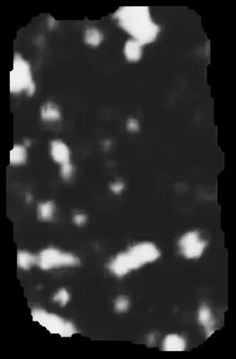 PHerc0500P2 ink prediction — segment 0500P2-wrap10_0919