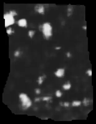 PHerc0500P2 ink prediction — segment 0500P2-wrap12_0919