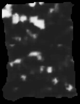 PHerc0500P2 ink prediction — segment 0500P2-wrap13_0919