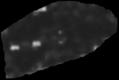PHerc0814 ink prediction — segment auto_grown_20250928235953722_copy
