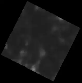 PHerc0814 ink prediction — segment auto_grown_20260225160055913