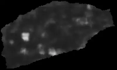 PHerc0814 ink prediction — segment auto_grown_20260226113324624_abf