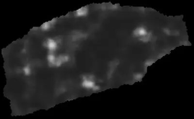 PHerc0814 ink prediction — segment auto_grown_20260226121302716_abf