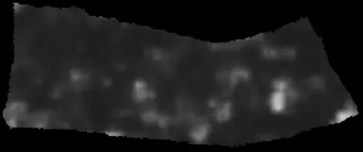 PHerc0814 ink prediction — segment auto_grown_20260226123353106