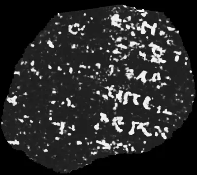 PHerc0841 ink prediction — segment w00