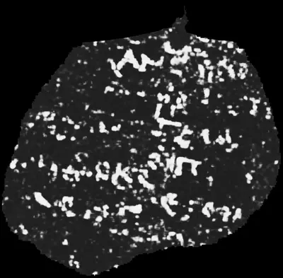 PHerc0841 ink prediction — segment auto_grown_20260220144552896