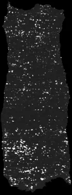 Scroll 4 ink prediction — segment w011